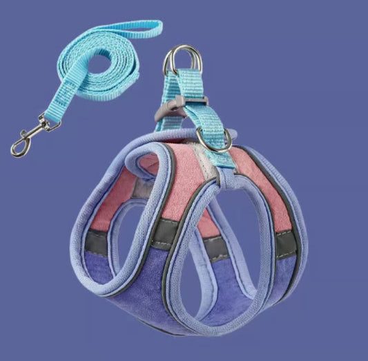 🔥Cat Harness & Leash😺✨